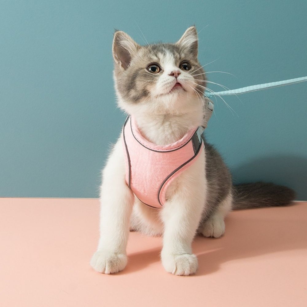 SafeCat– Sicheres & Ausbruchsicheres Katzengeschirr mit Leine