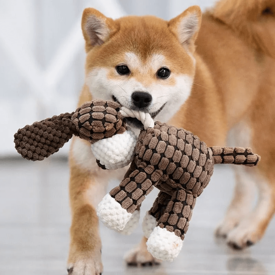 Bitebuddy – Reißfestes Kuscheltier für Hunde