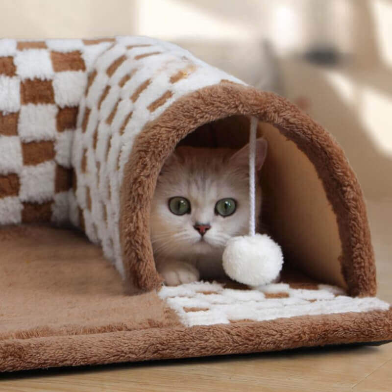 TunnelTraum – Der 2-in-1 Spieltunnel & Rückzugsort für Katzen