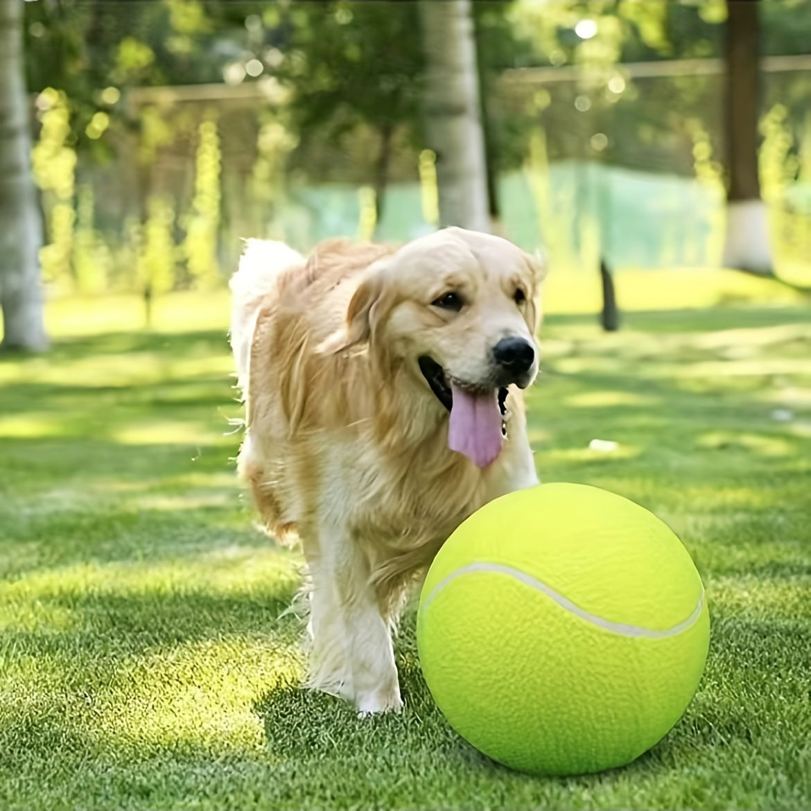 PowerPlayBall – Der extragroße, robuste Tennisball für aktive Hunde