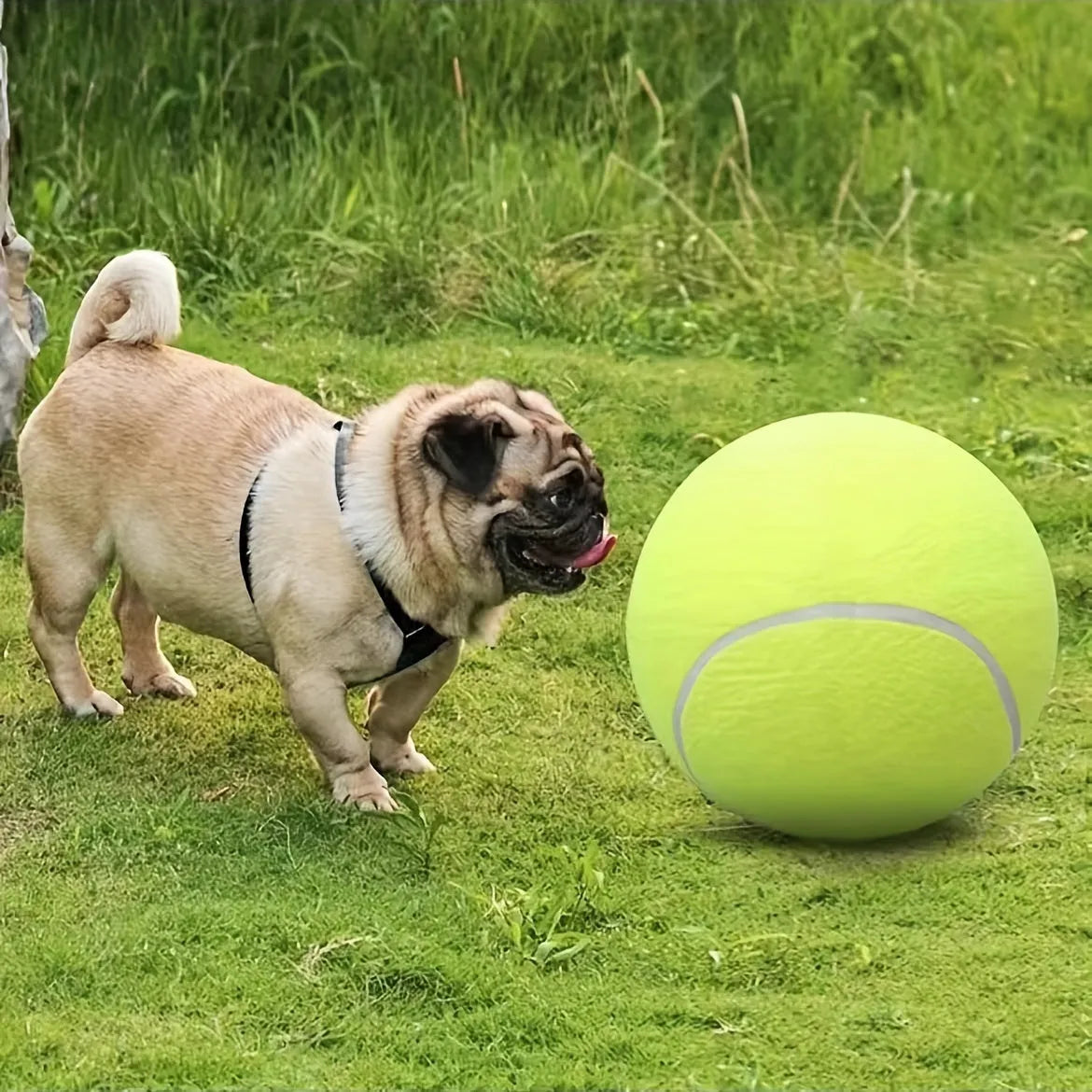 PowerPlayBall – Der extragroße, robuste Tennisball für aktive Hunde