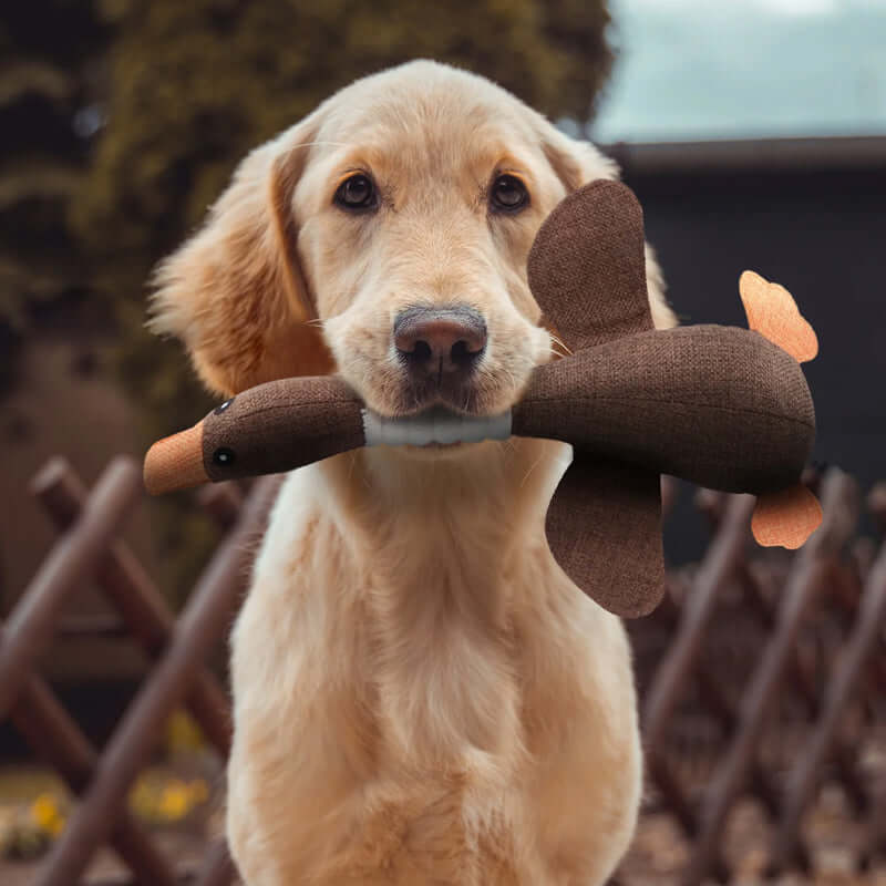 KauKumpel – Das extra robuste Kauspielzeug für starke Hunde