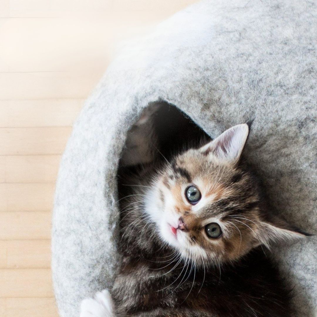 SnuggleCave Filzhöhle für Katzen