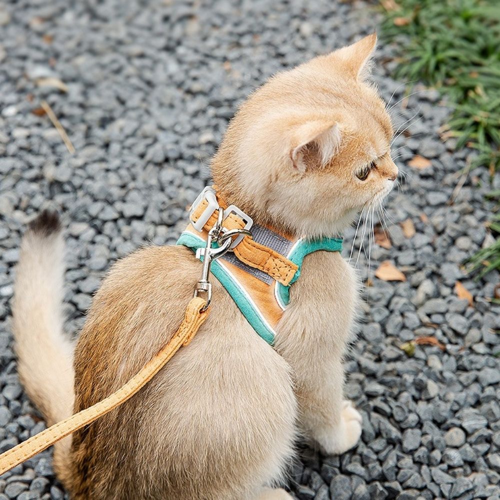 SafeCat– Sicheres & Ausbruchsicheres Katzengeschirr mit Leine