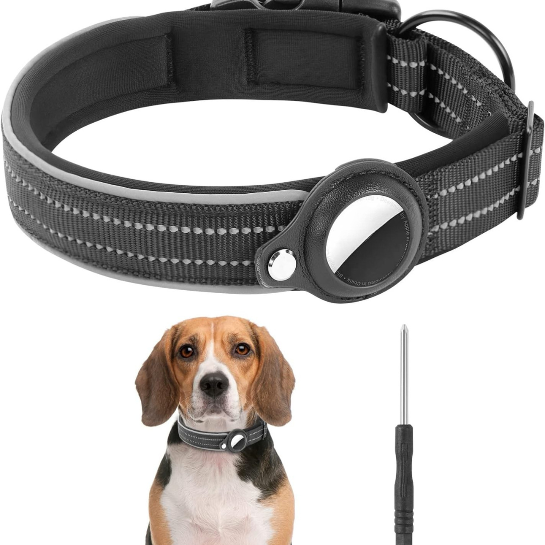 AirTag Hundehalsband – Sicher und komfortabel für die Ortung