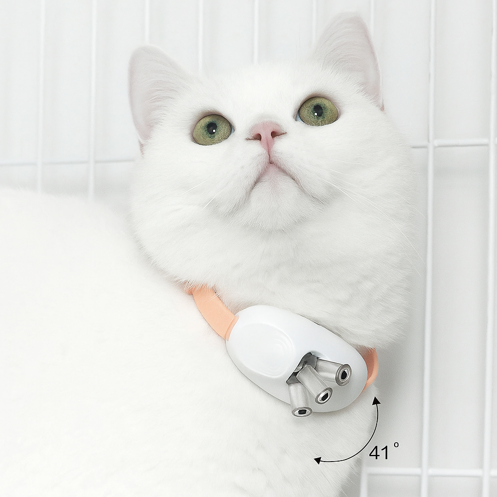 LED-Laser-Halsband für Katzen – Interaktives Spielzeug zur Bewegung & mentalen Auslastung