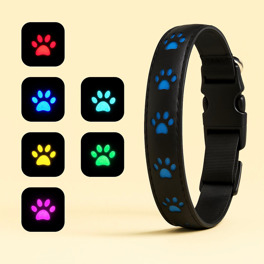 LED Hundehalsband für bessere Sichtbarkeit bei Nacht & Spaziergängen im Dunkeln