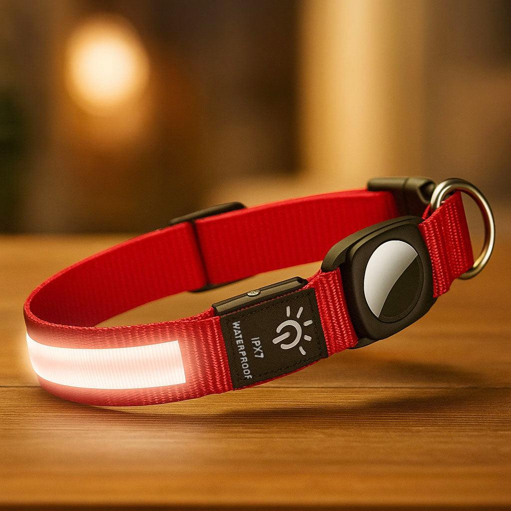 GlowGuard – LED Hundehalsband mit AirTag Halterung & hoher Sichtbarkeit