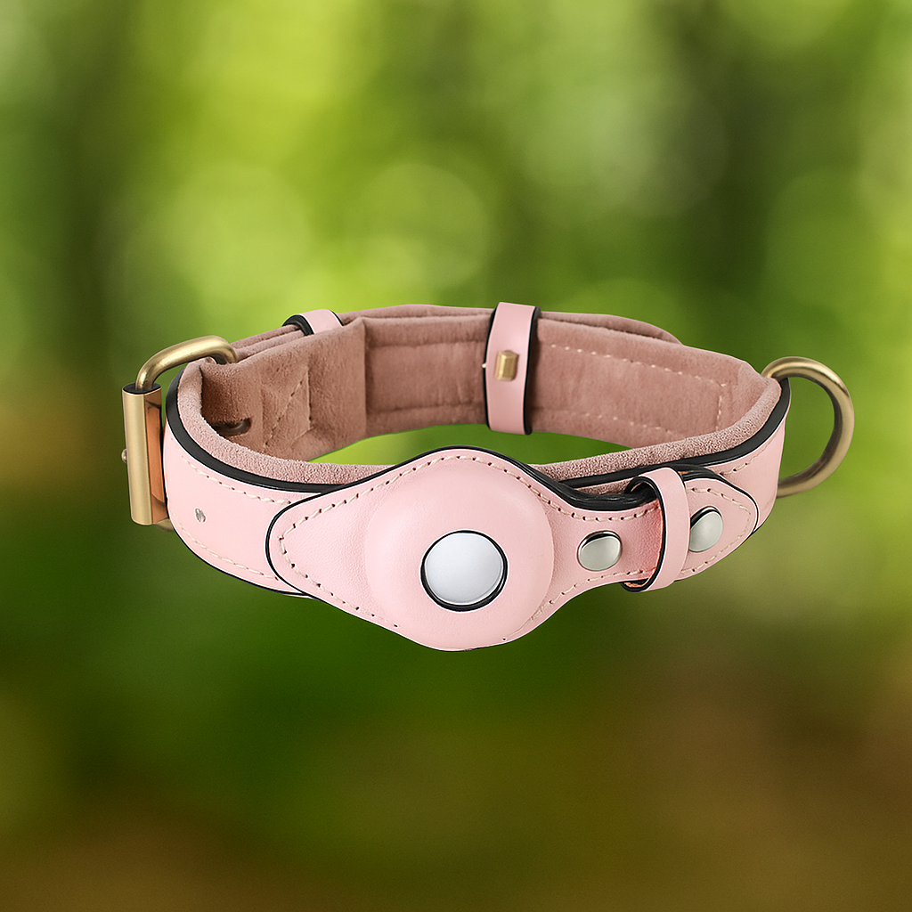 Leder Hundehalsband mit AirTag Halterung – Gepolstert & Sicher
