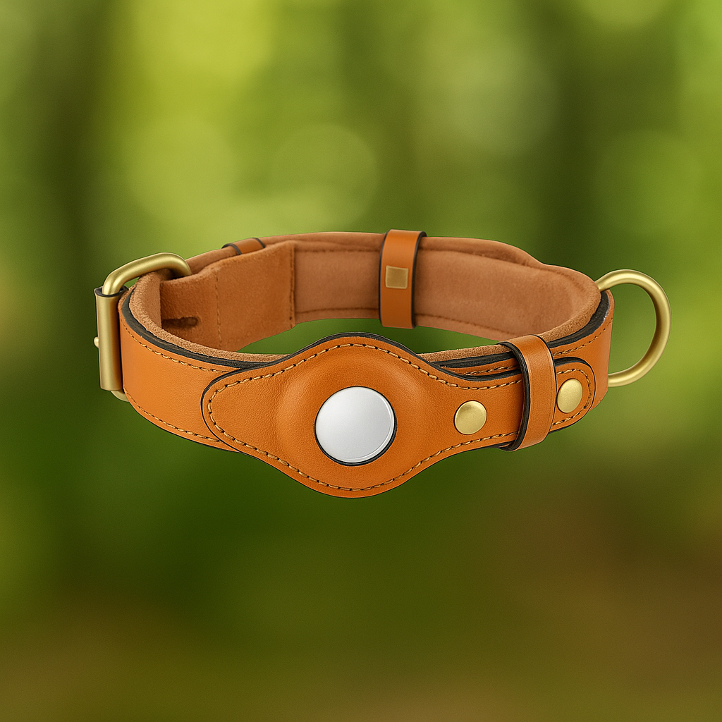 Leder Hundehalsband mit AirTag Halterung – Gepolstert & Sicher