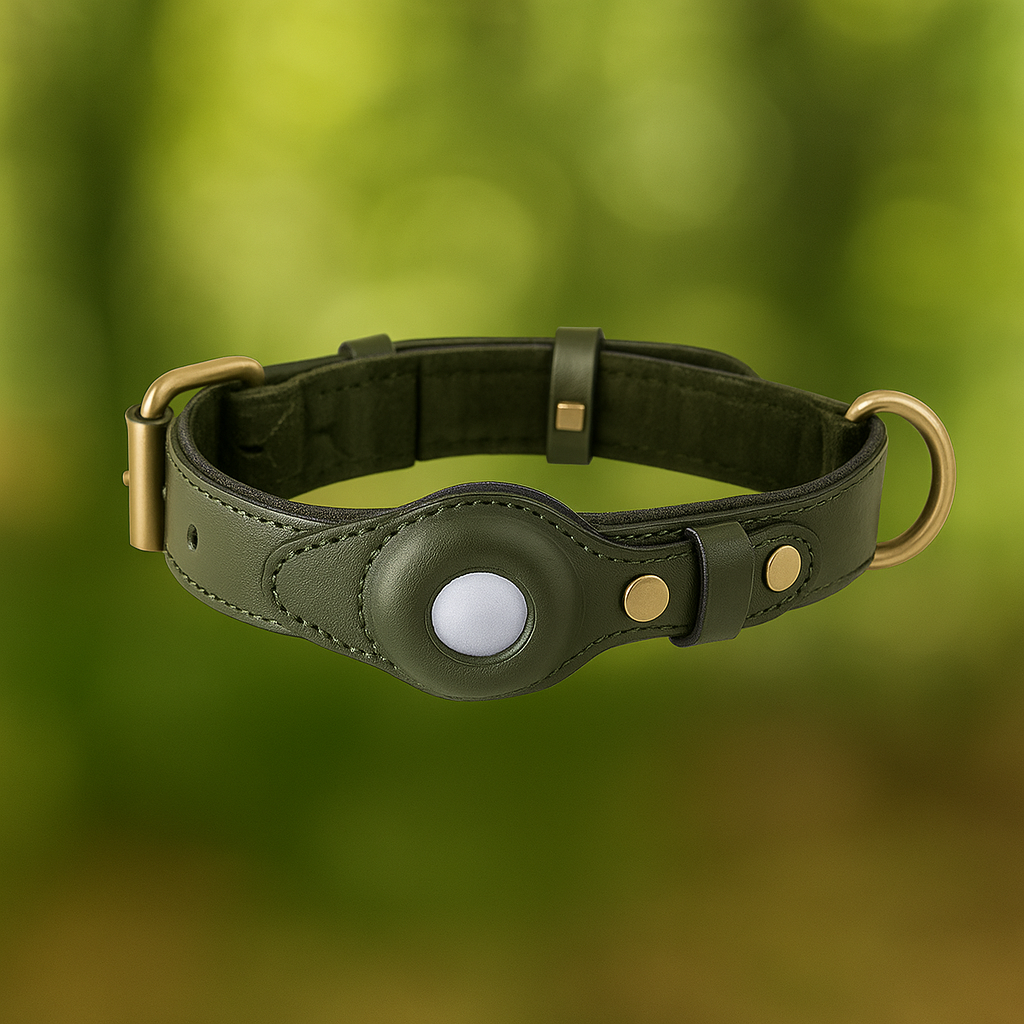 Leder Hundehalsband mit AirTag Halterung – Gepolstert & Sicher