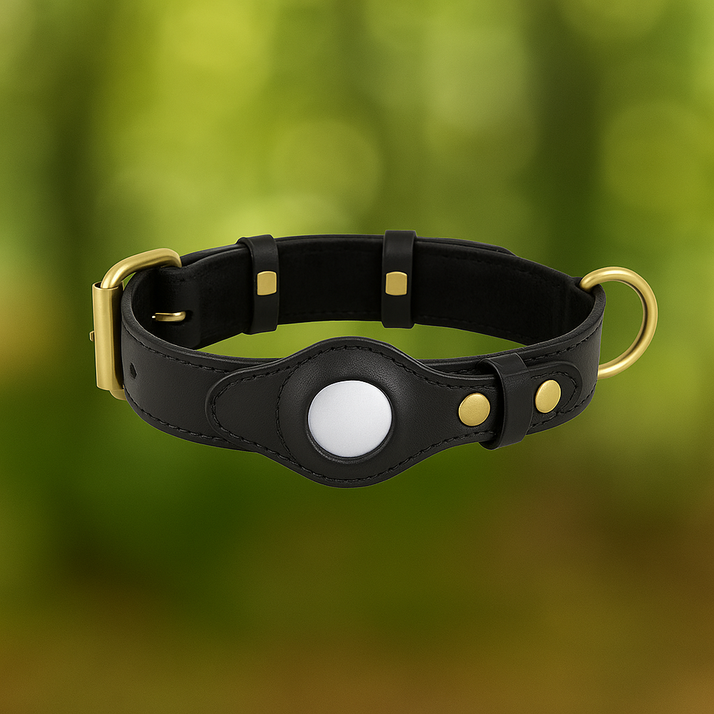 Leder Hundehalsband mit AirTag Halterung – Gepolstert & Sicher
