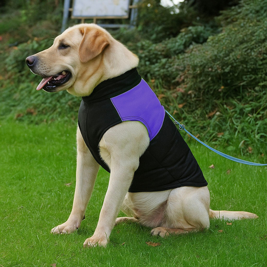 Hundemantel Winter Wasserdicht – Warme Hundejacke & Hundeweste weich
