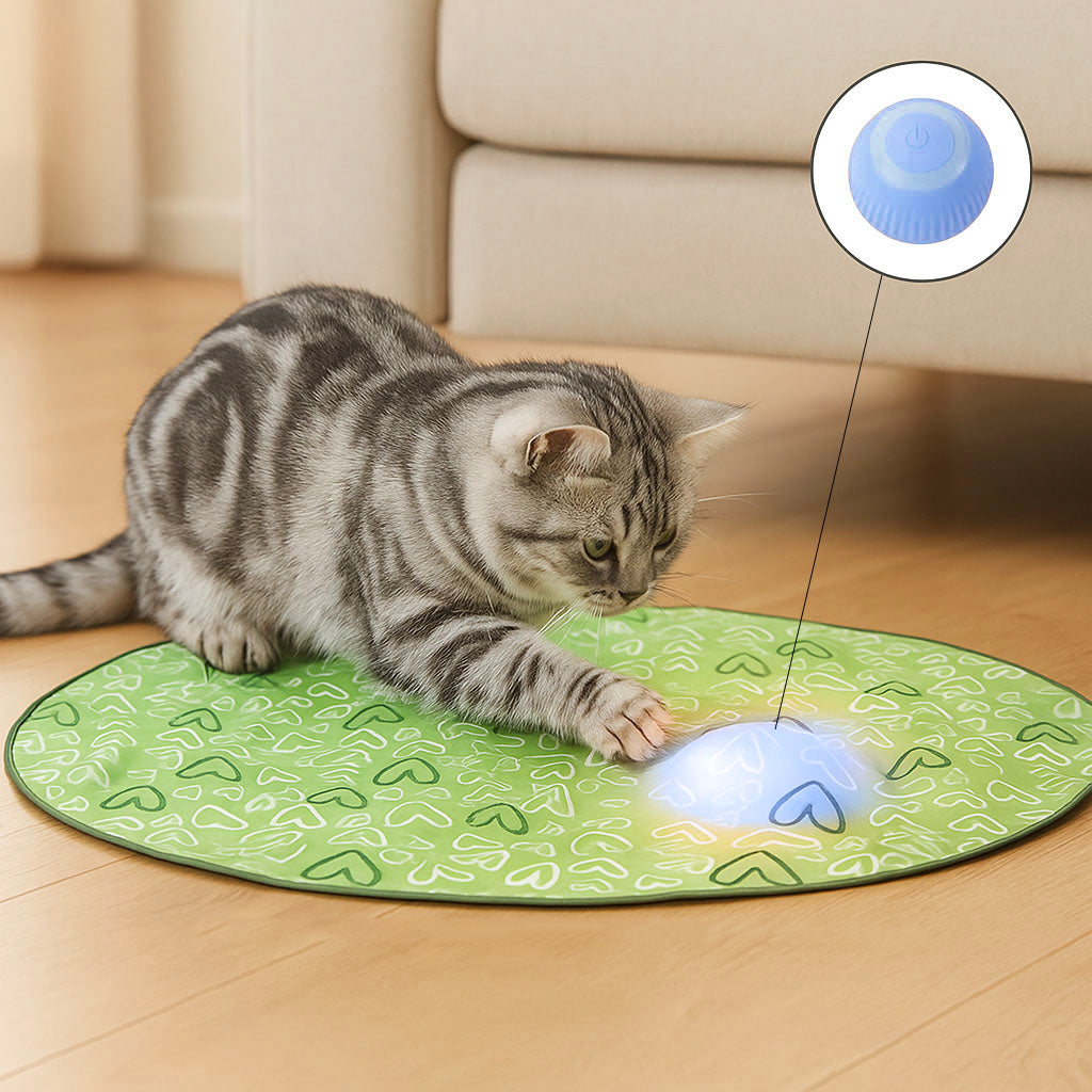 Automatisches Katzenspielzeug mit Sensor – Interaktiv & selbstlaufend