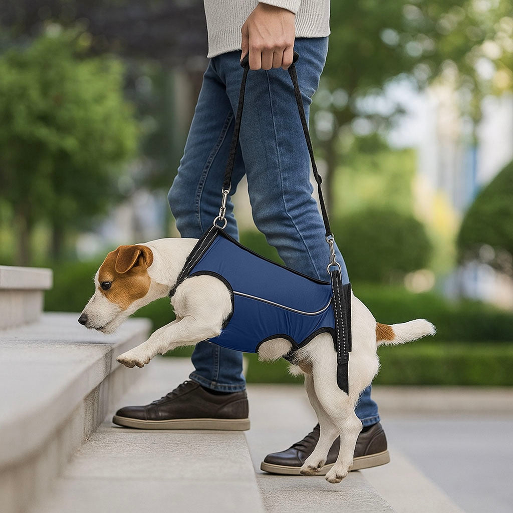 Hundetragehilfe – Hebegurt für ältere & verletzte Hunde