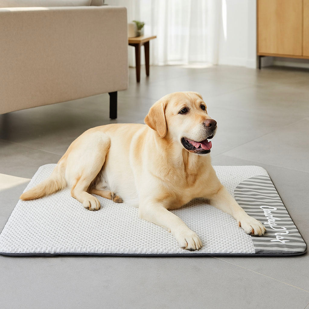 Kühlmatte Hund - Atmungsaktive Hundematte für heiße Sommertage