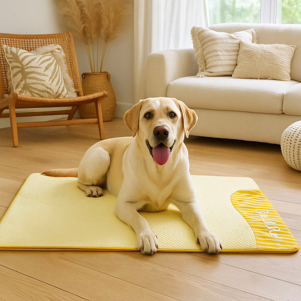 Kühlmatte Hund - Atmungsaktive Hundematte für heiße Sommertage