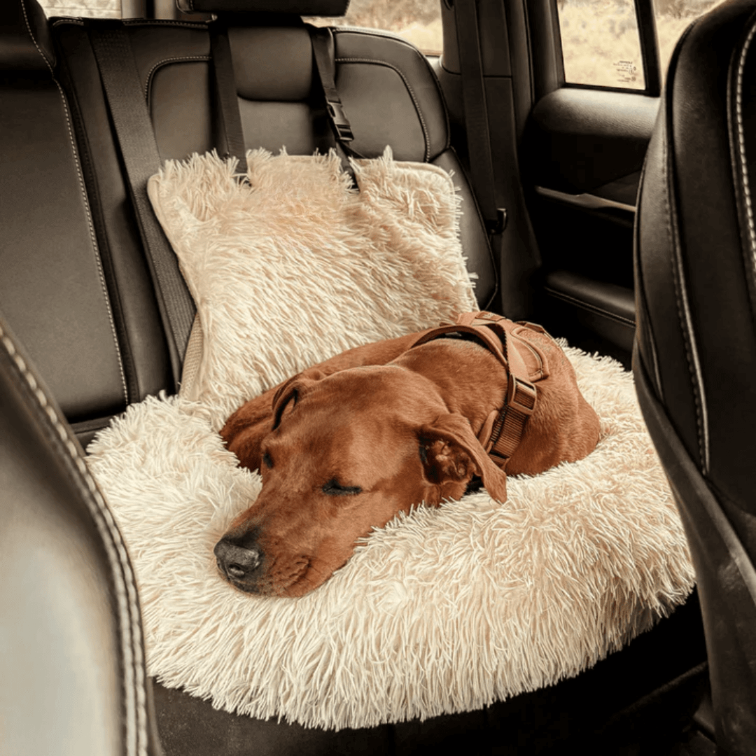 RideBuddy – Der Premium-Autositz für entspannte Hundereisen