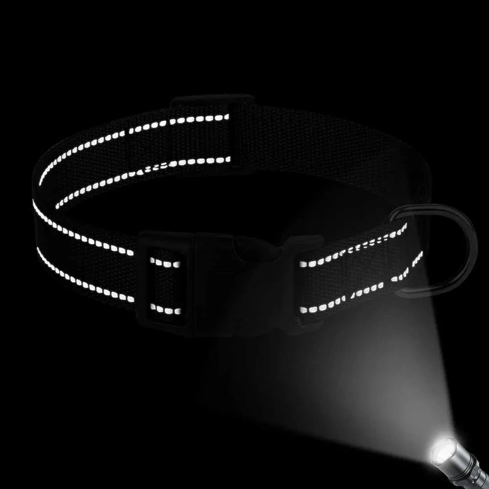 SicherLeucht – Reflektierendes, Hundehalsband aus Nylon für Spaziergänge bei Tag & Nacht