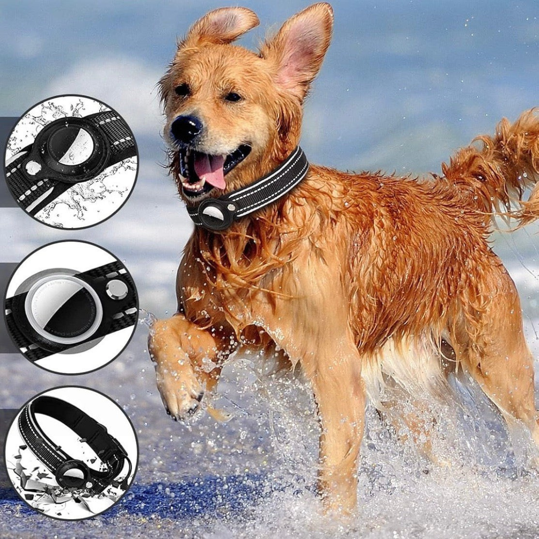 AirTag Hundehalsband – Sicher und komfortabel für die Ortung