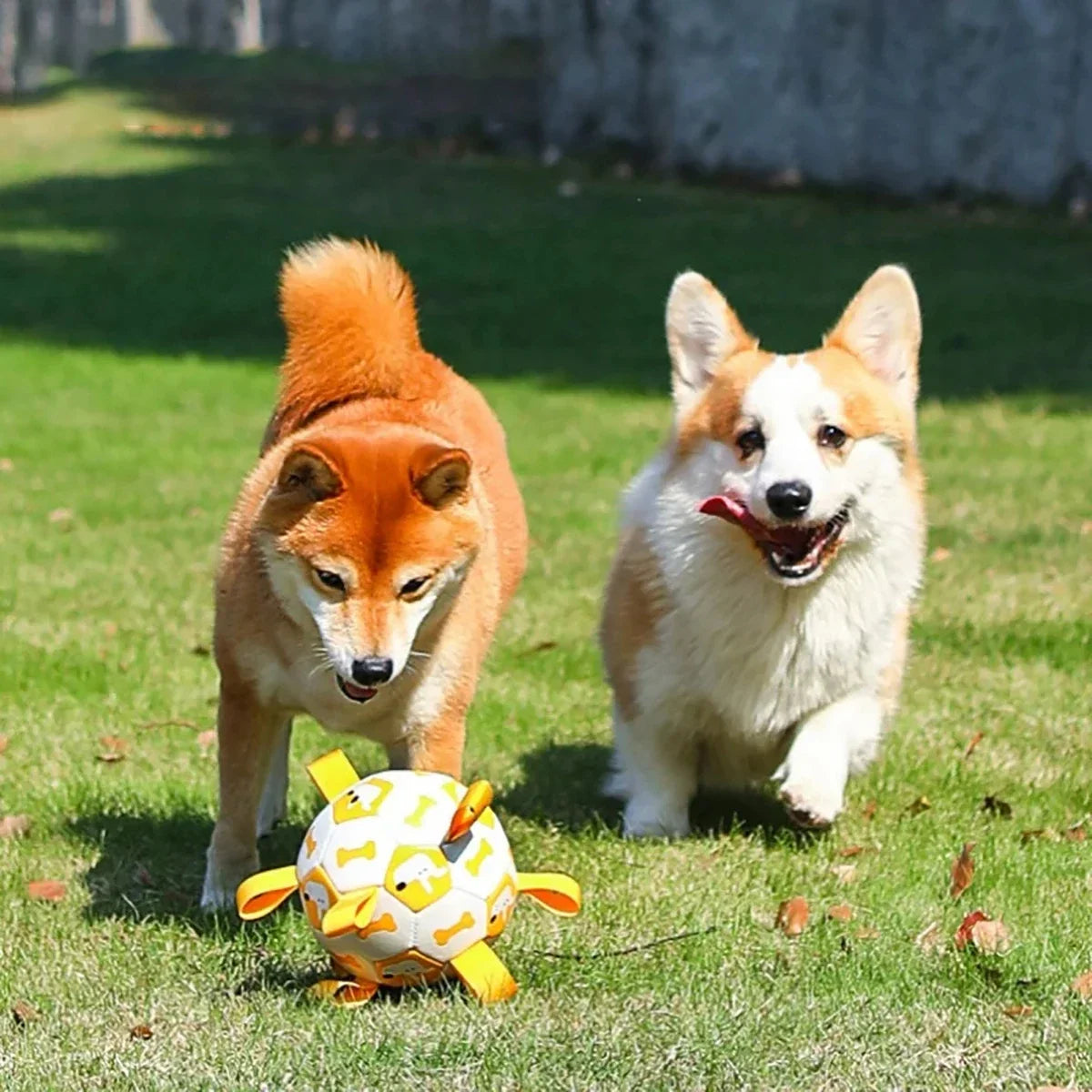 TugBall – Der robuste Zerrball für aktive Hunde