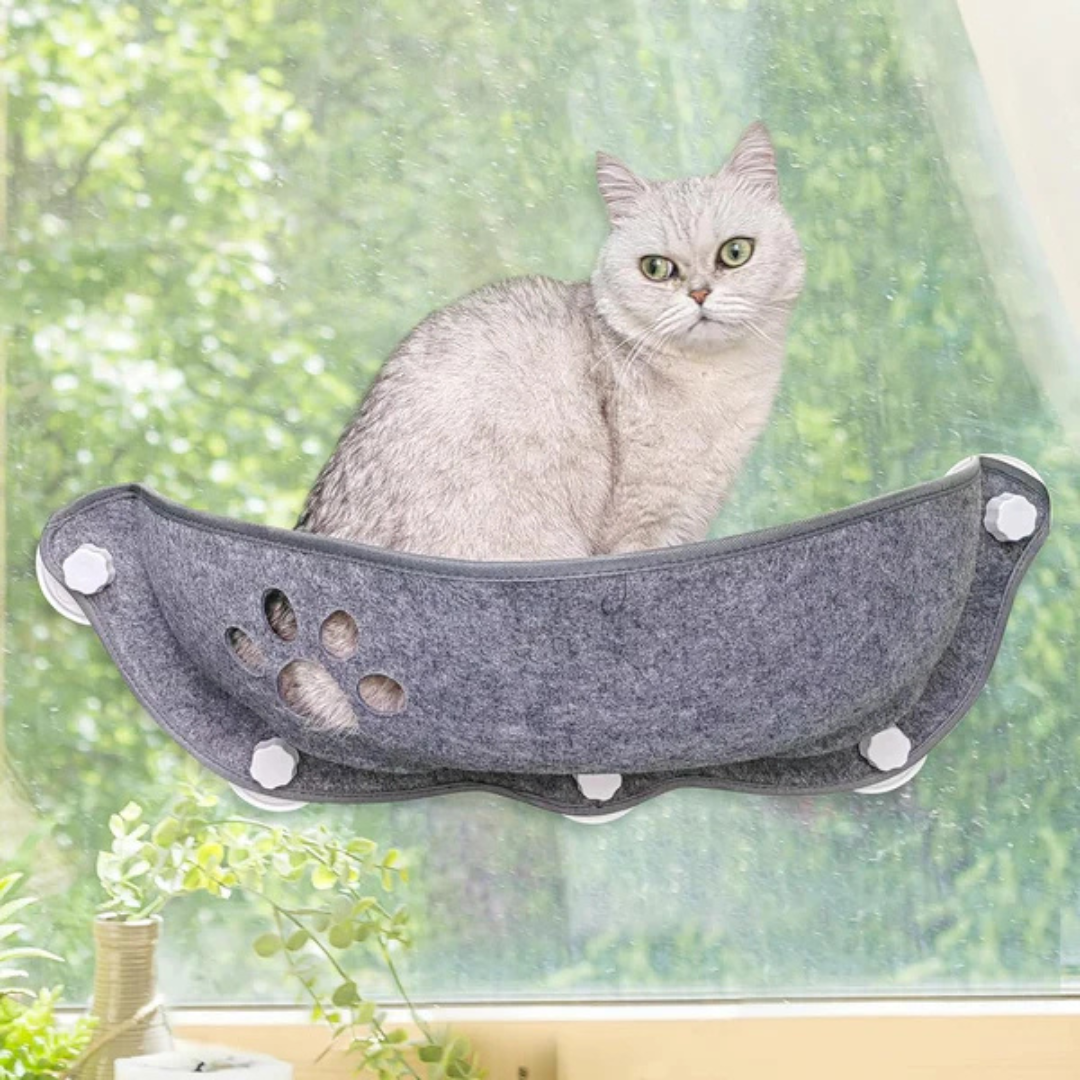 SonnenPlatz – Die gemütliche Fenster-Hängematte für neugierige Katzenköpfe