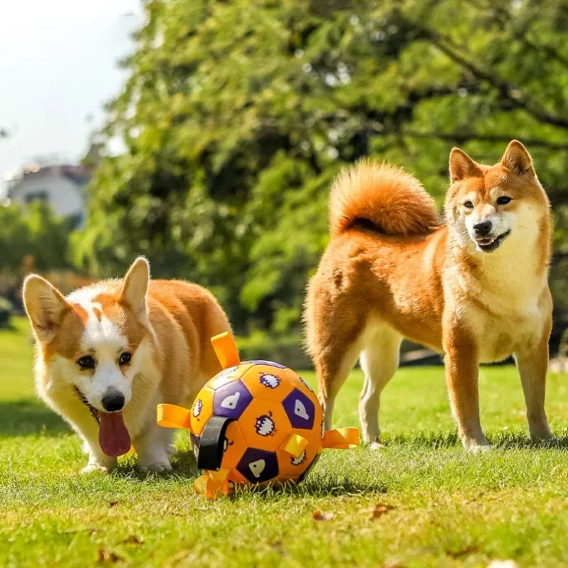 TugBall – Der robuste Zerrball für aktive Hunde