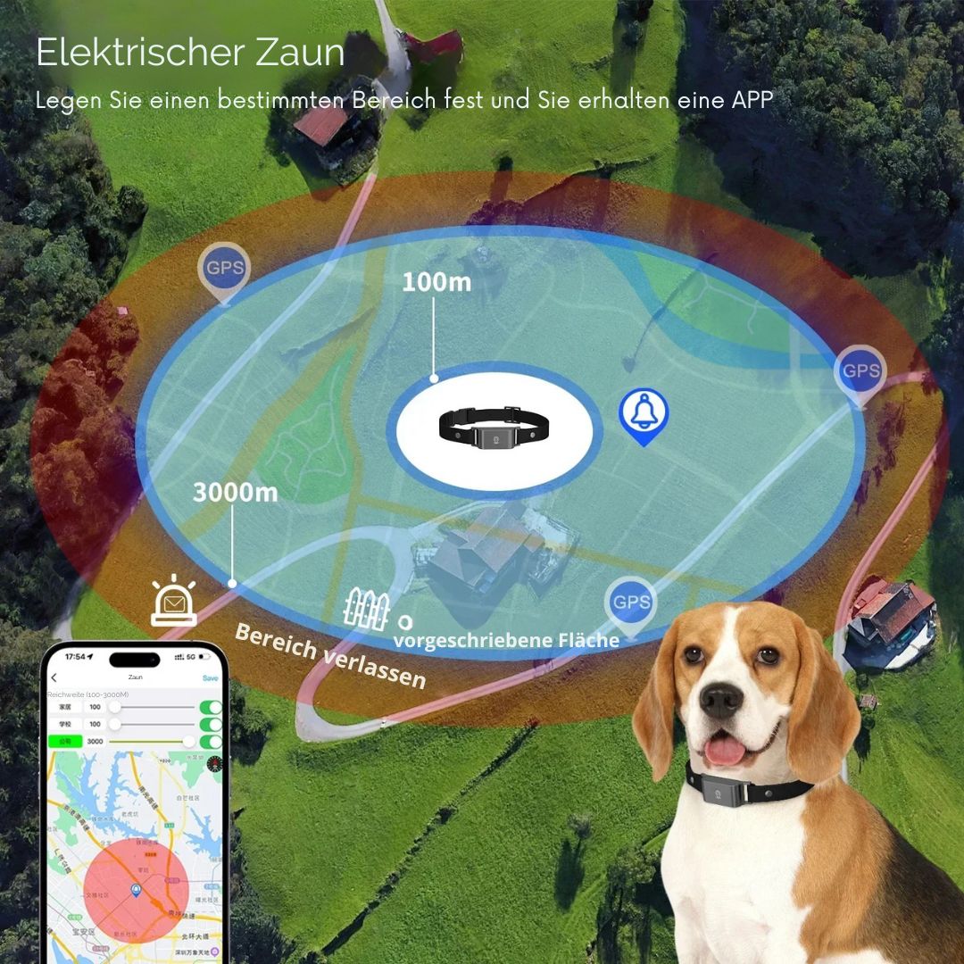 SicherSpur – GPS-Tracker mit 4G & App für Hunde & Katzen
