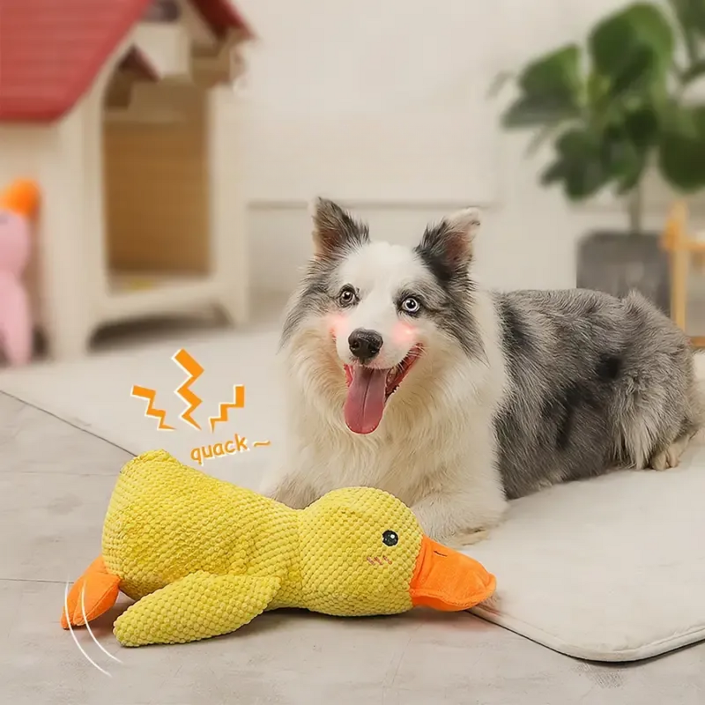 Starke Ente – Beruhigendes Hundespielzeug