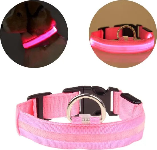 NightBuddy – LED Hundehalsband für maximale Sichtbarkeit im Dunkeln