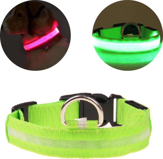 NightBuddy – LED Hundehalsband für maximale Sichtbarkeit im Dunkeln