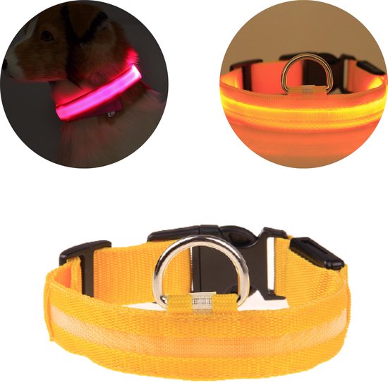 NightBuddy – LED Hundehalsband für maximale Sichtbarkeit im Dunkeln