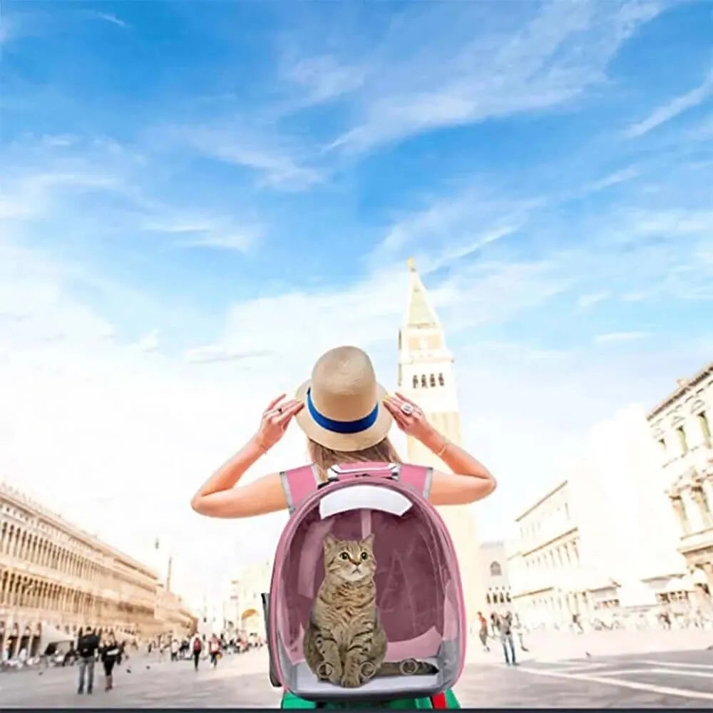 VistaBag – Der stylische Katzen-Rucksack für sicheren & stressfreien Transport
