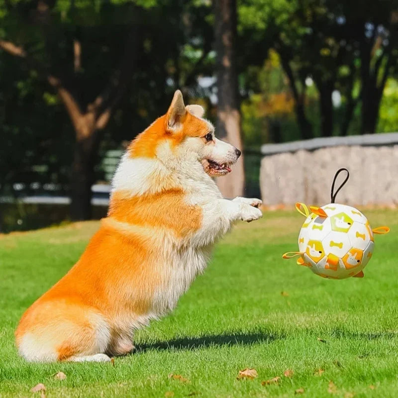 TugBall – Der robuste Zerrball für aktive Hunde