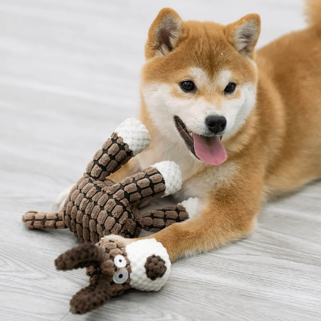 Bitebuddy – Reißfestes Kuscheltier für Hunde