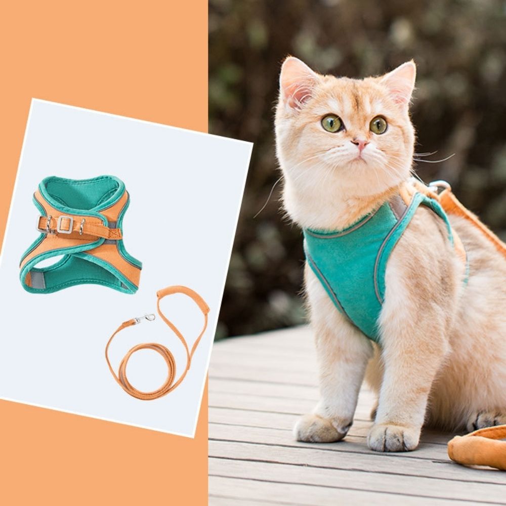 SafeCat– Sicheres & Ausbruchsicheres Katzengeschirr mit Leine