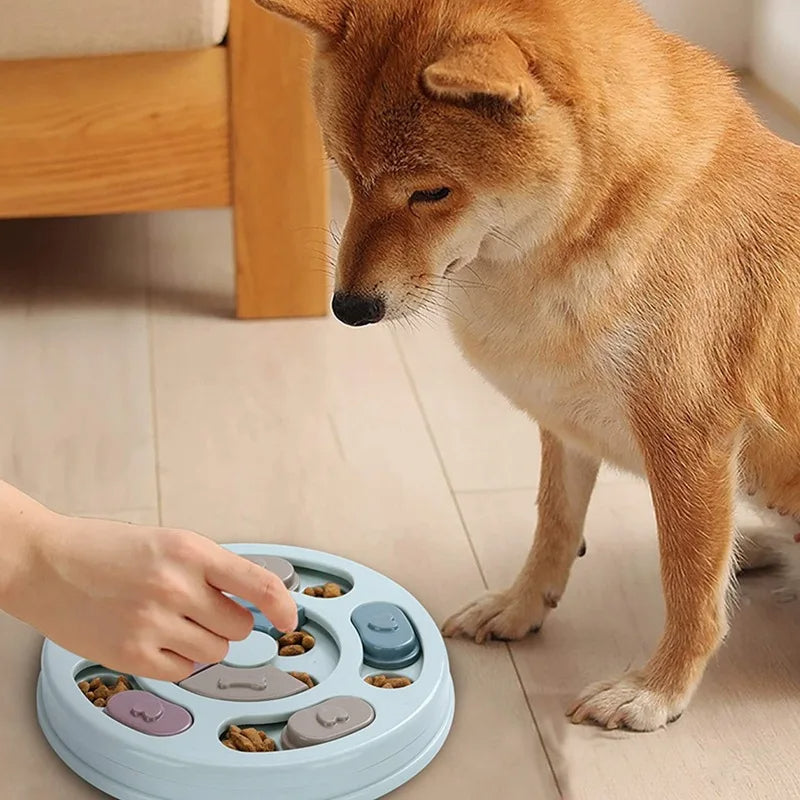 SnackPilot – Der interaktive Futterspender für neugierige Hunde