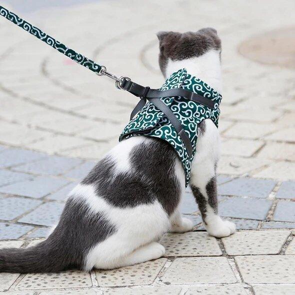 Katzengeschirr für Freigänger | Sicher & Bequem
