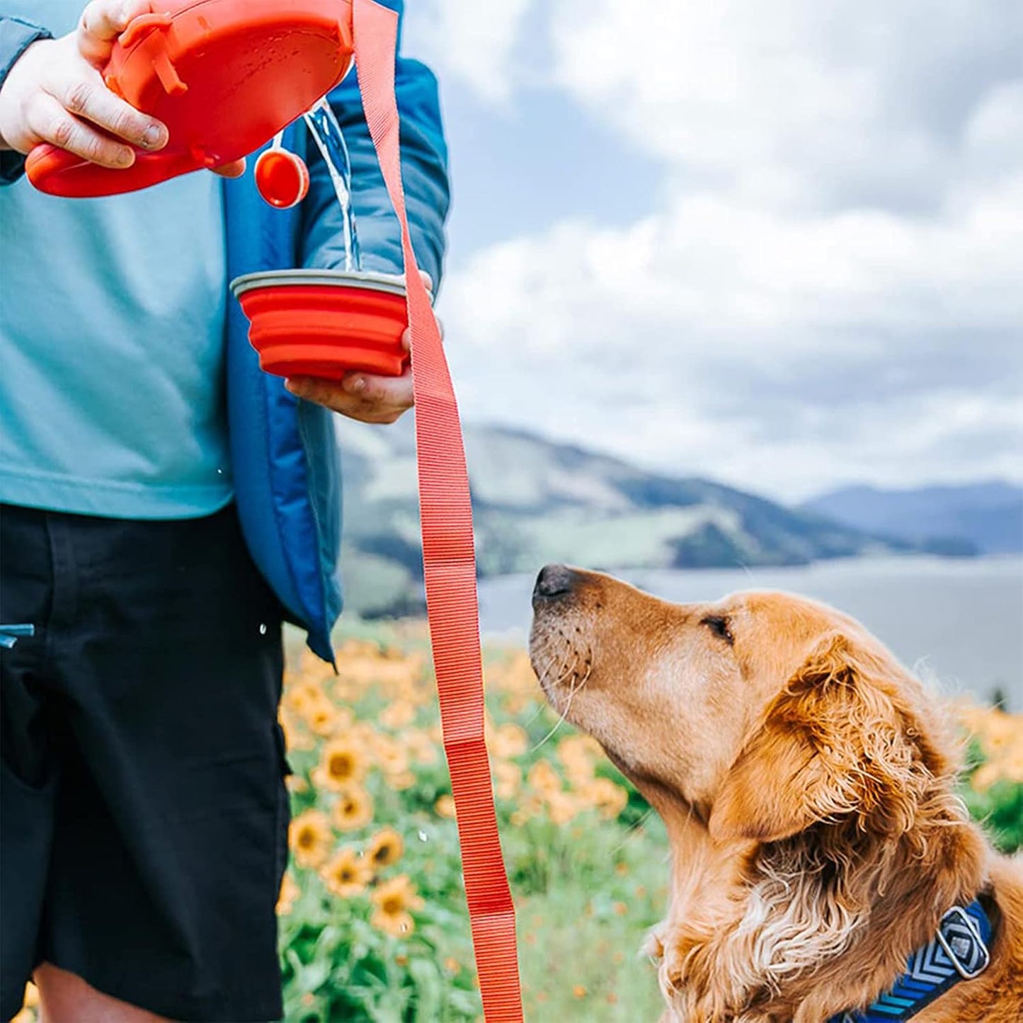 WalkBuddy – Die 3-in-1 Hundeleine mit integrierter Trinkflasche und Kotbeutelspender