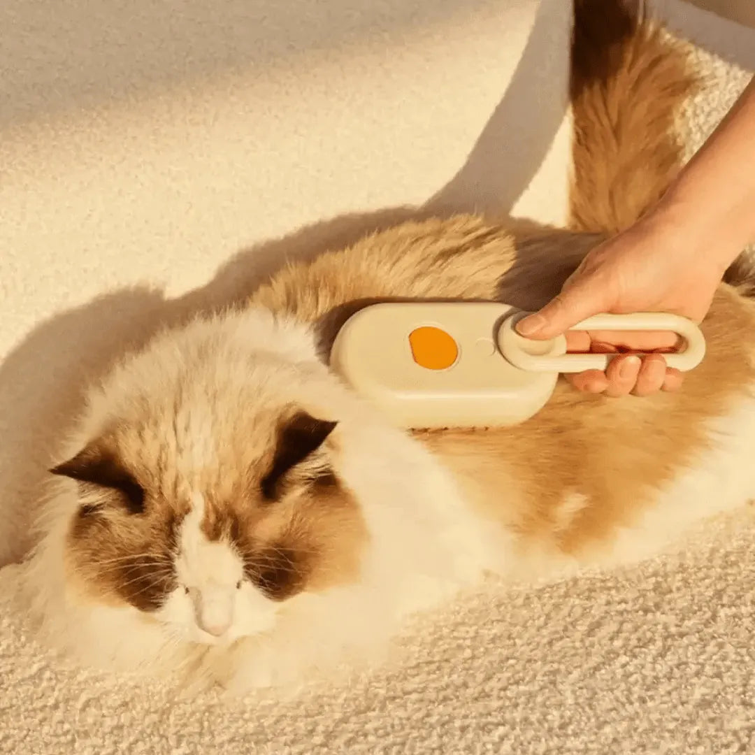 FellBuddy – Weiche Katzenbürste für sanfte Fellpflege