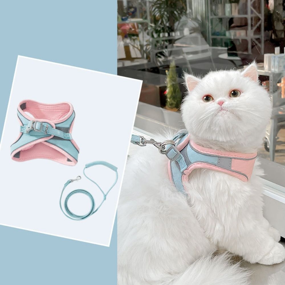 SafeCat– Sicheres & Ausbruchsicheres Katzengeschirr mit Leine