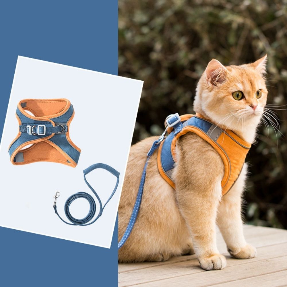 SafeCat– Sicheres & Ausbruchsicheres Katzengeschirr mit Leine