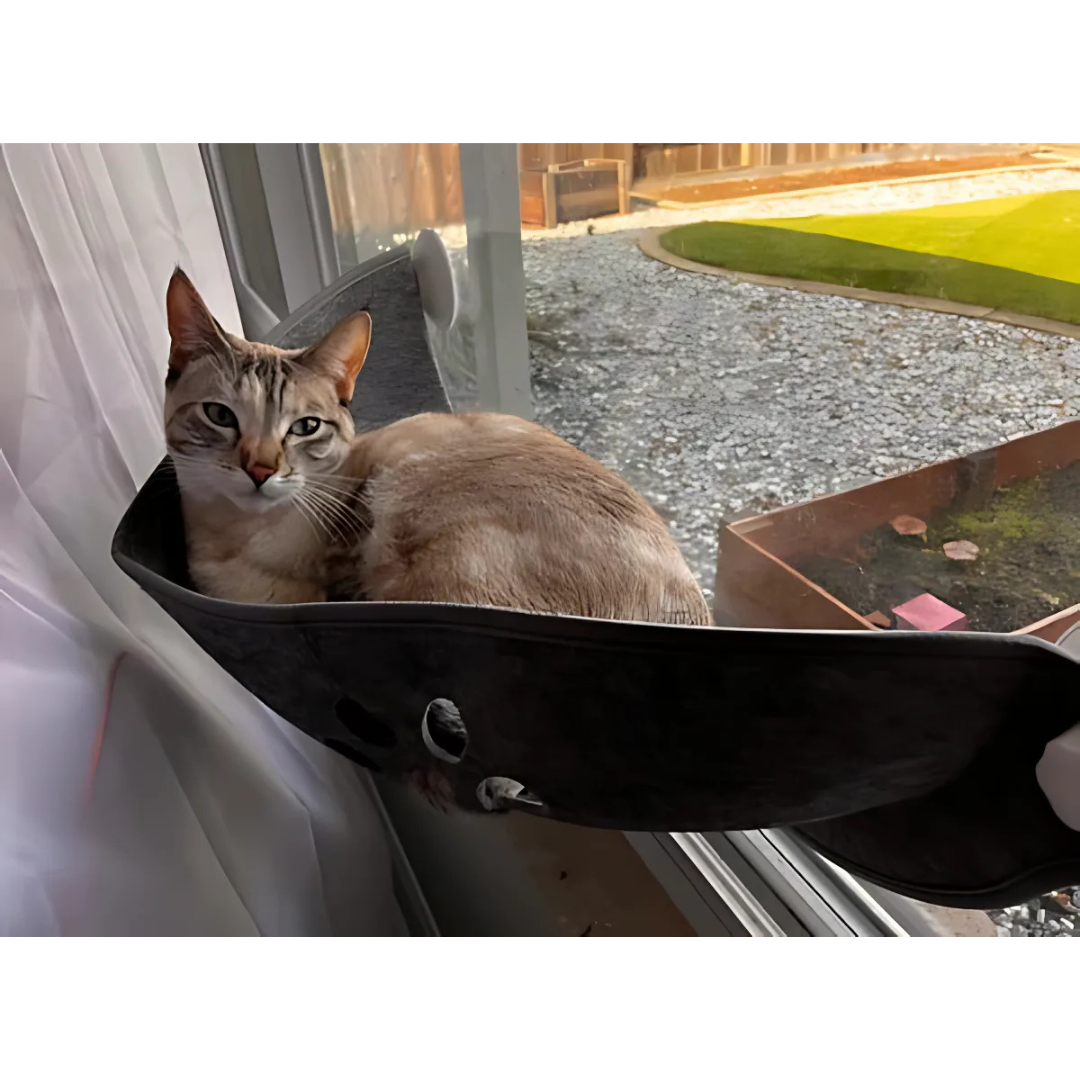 SonnenPlatz – Die gemütliche Fenster-Hängematte für neugierige Katzenköpfe