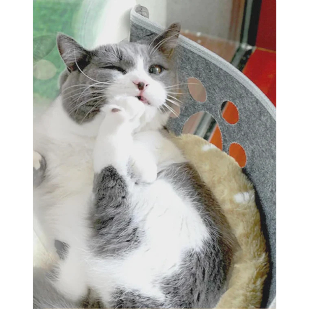 SonnenPlatz – Die gemütliche Fenster-Hängematte für neugierige Katzenköpfe