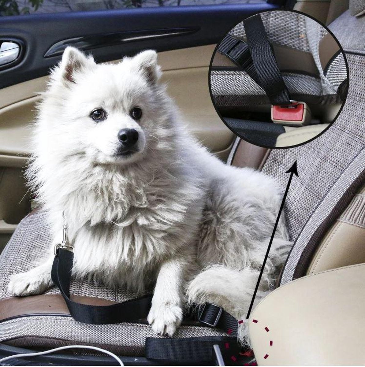 RideSafe – Der sichere Hunde-Autogurt für unterwegs