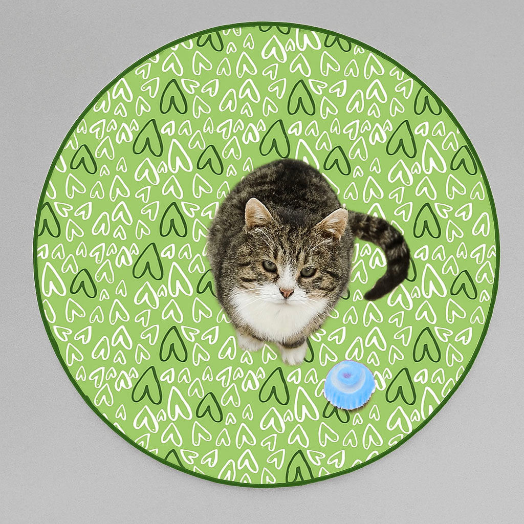 Automatisches Katzenspielzeug mit Sensor – Interaktiv & selbstlaufend