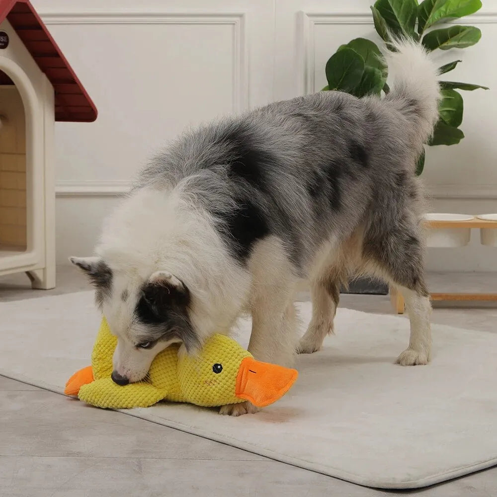 Starke Ente – Beruhigendes Hundespielzeug