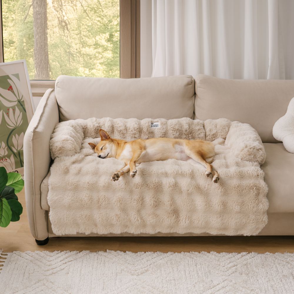 PlushNest – Das ultraweiche Hundebett für erholsamen Schlaf & Geborgenheit
