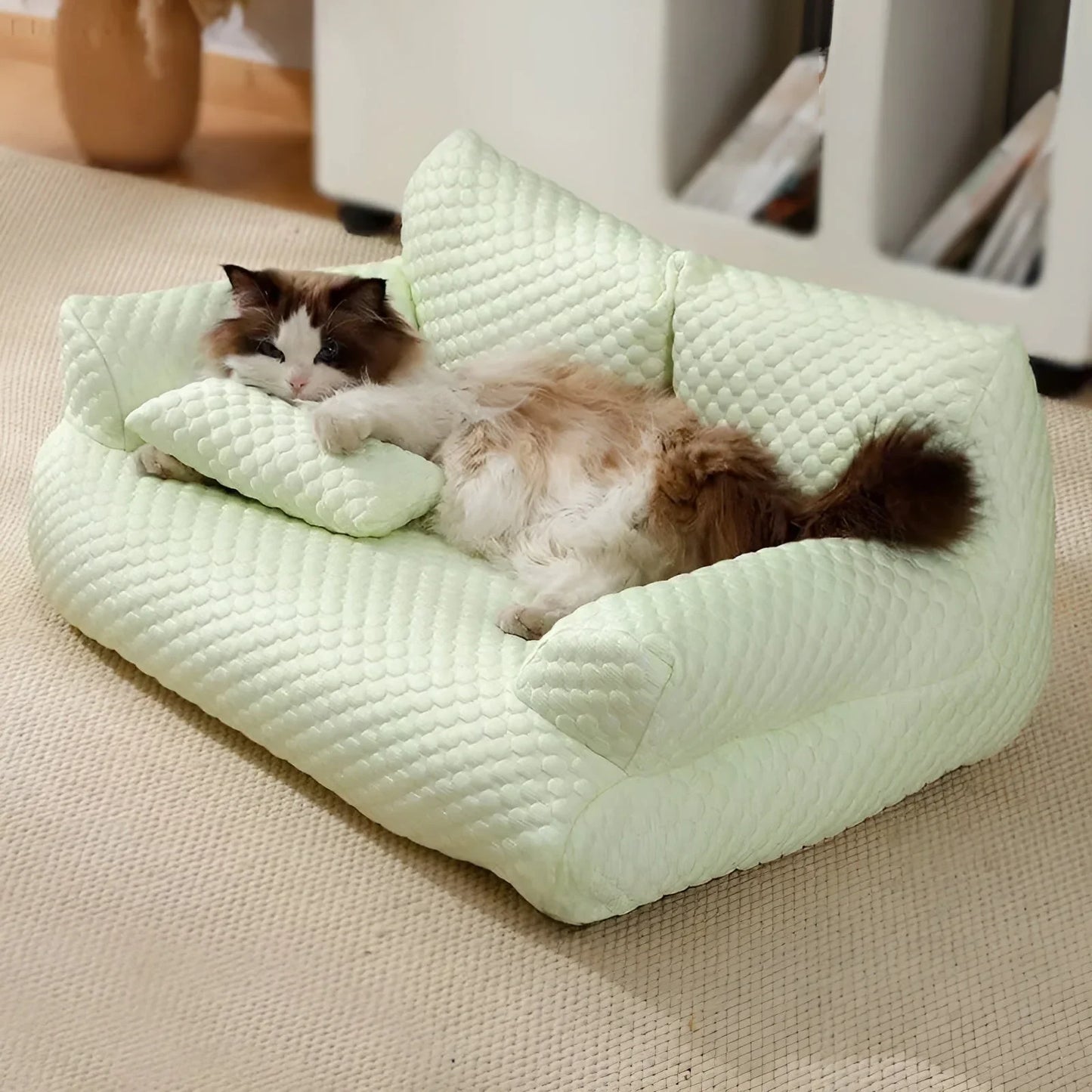 KuschelPfoten – Das waschbare Plüschkissenbett für echte Wohlfühlmomente