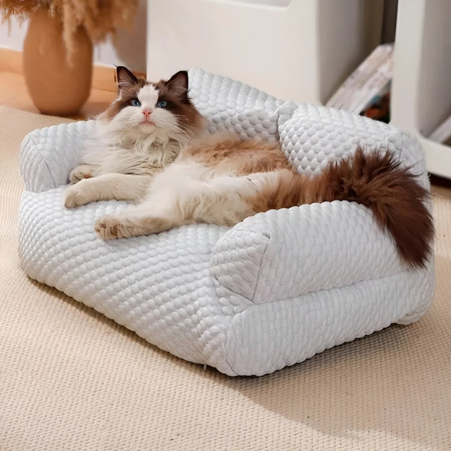 KuschelPfoten – Das waschbare Plüschkissenbett für echte Wohlfühlmomente